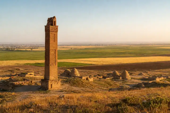 The ancient minaret of Harran Great Mosque above beehive houses and the Mesopotamian plain.