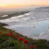 Spring poppies overlooking the white travertine terraces of Pamukkale at sunrise.