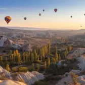 Hot air balloons above golden poplar trees and sculpted valleys in autumn Cappadocia.