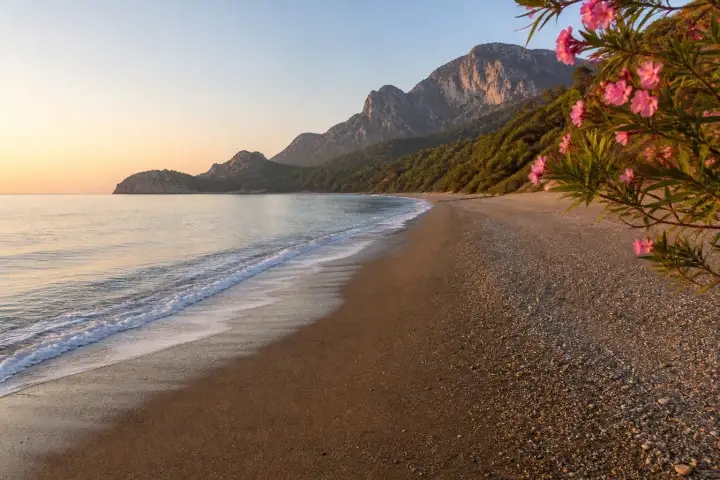 The untouched shoreline of Çıralı Beach framed by oleander and Lycian mountains at sunrise.
