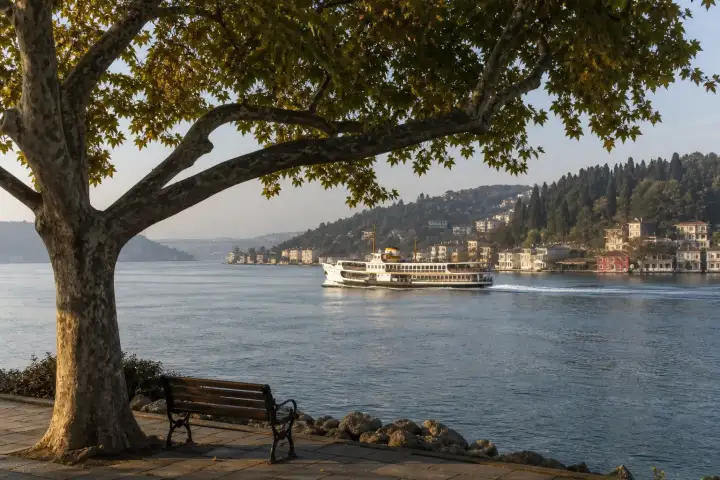 A passenger ferry crossing the Bosphorus beyond a quiet waterfront bench in Istanbul.