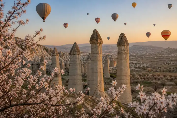 Hot air balloons above Love Valley rock pillars framed by almond blossoms in Cappadocia.