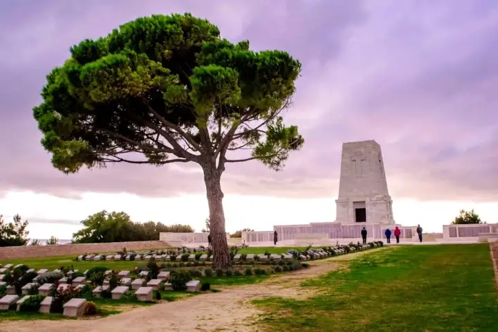 A wide pine tree stands over the rows of graves at Lone Pine cemetery on Gallipoli under a violet dusk sky.