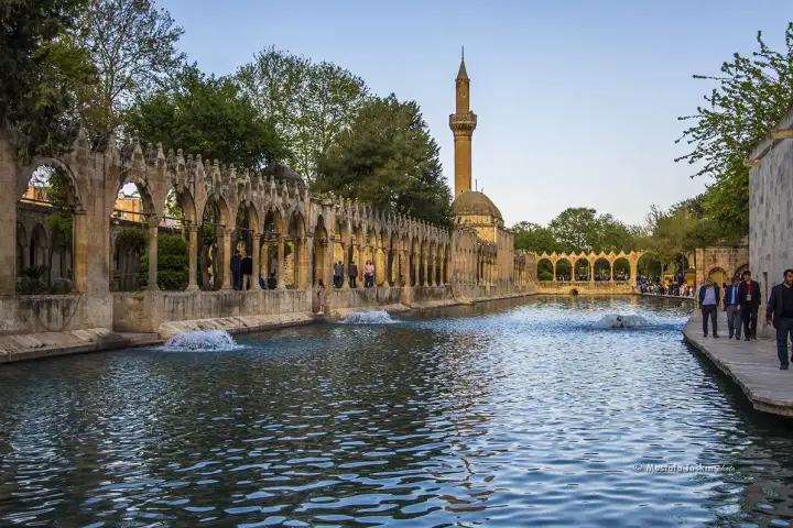 The long stone colonnade runs beside the green water of Balikligol in Sanliurfa, the mosque minaret rising above the trees.