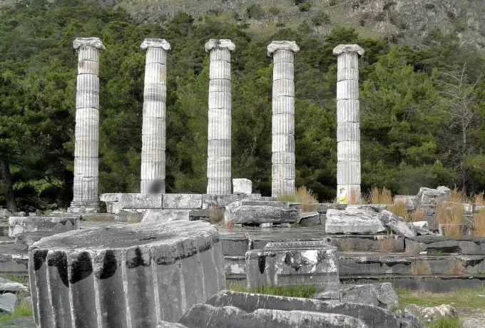 Five fluted columns of the Temple of Athena stand together at Priene, drums and blocks scattered on the ground around them.