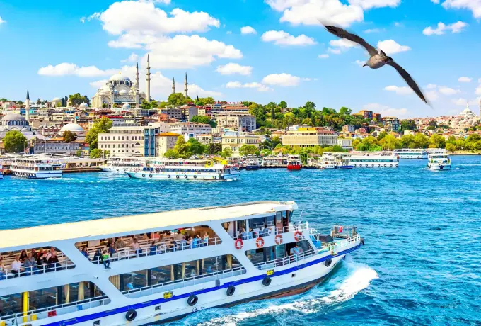 A white ferry crosses the Golden Horn in Istanbul below the domes and minarets of the old city, a gull crossing the sky.