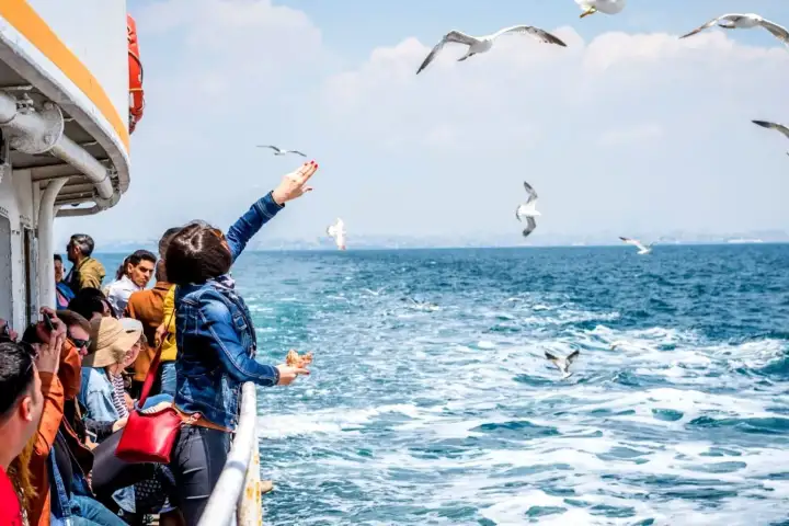 Passengers on the stern of a ferry hold out food as gulls hover close over the open water near the Princes Islands.