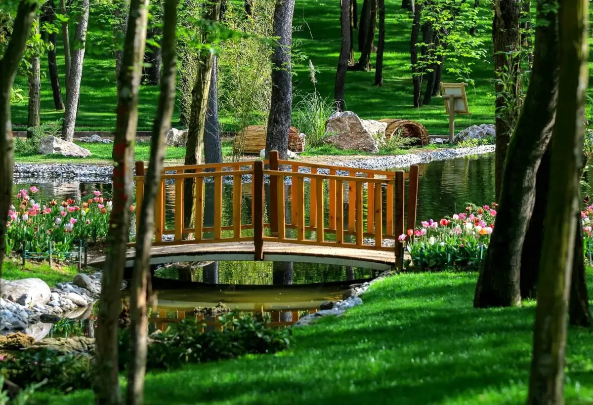 A timber footbridge crosses a small stream in a green forest park at Masukiye with tulips planted along the bank.