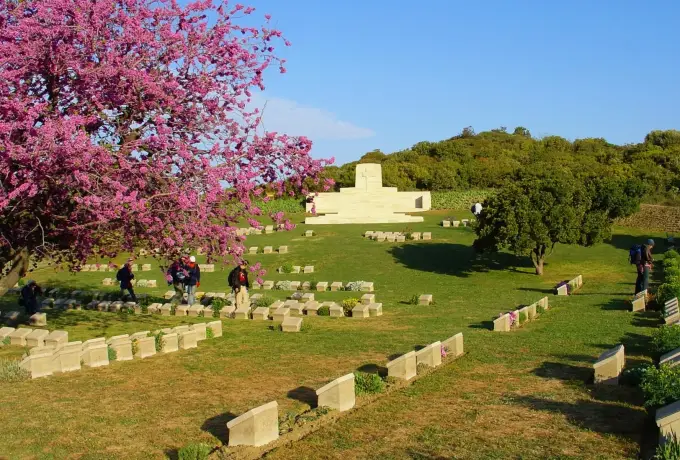 A pink flowering tree stands over the rows of grave markers at a Gallipoli cemetery in spring.