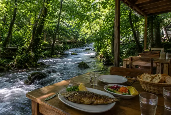 Wooden lunch table beside a rushing forest stream in Masukiye